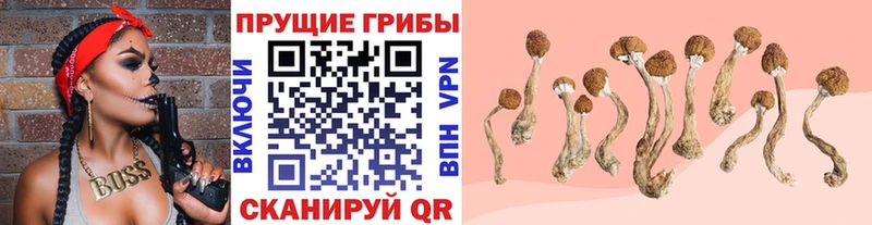 мега ССЫЛКА  купить   Белоярский  Галлюциногенные грибы Cubensis 